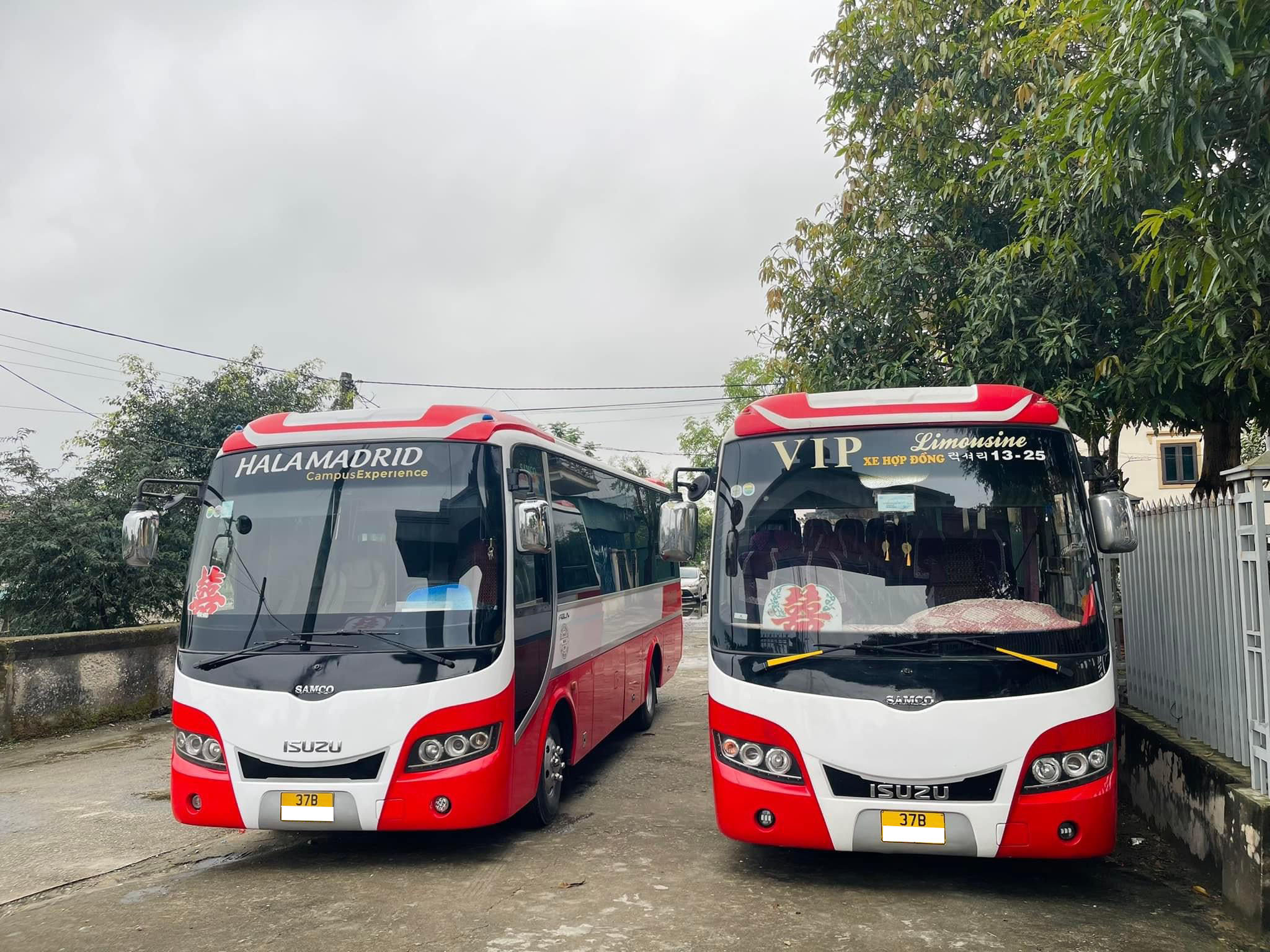 z4264617614537_f6f6b3097f0a40addb2f1c106e441a49